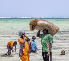 screenshot 2026-03-03 alle 16